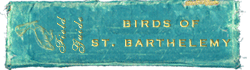 Birds of Saint Barthelemy